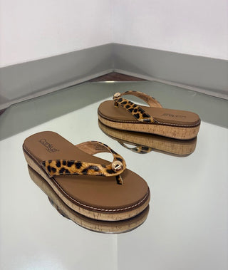 Corkys Deep End Leopard