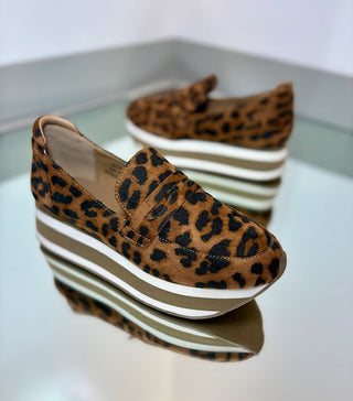 Corkys Sheesh Leopard